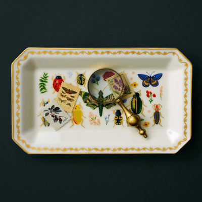 The Curio Large Porcelain Catchall Tray by Rifle Paper Co. features insect illustrations, three postage stamps, and a gold-handled magnifying glass—all artfully arranged on a dark background.